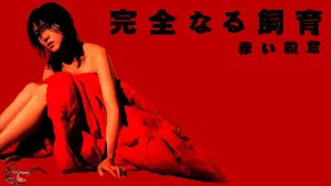 Backdrop to the movie "Perfect Education 6" #483312