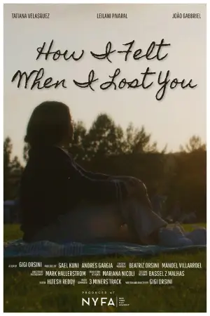 Poster to the movie "How I Felt When I Lost You" #823189