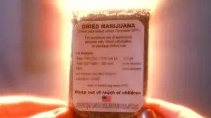 Backdrop to the movie "Smiley Face" #676715