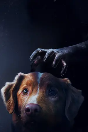 Poster to the movie "Good Boy" #517430