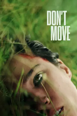 Poster to the movie "Don