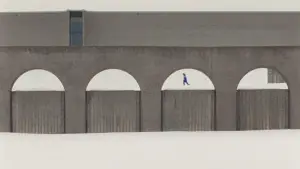 Backdrop to the movie "Universal Language" #654866