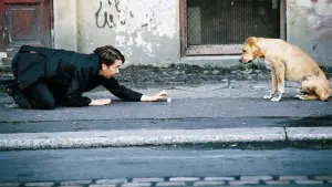 Backdrop to the movie "Berlin Blues" #498231