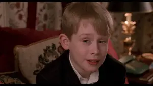 Backdrop to the movie "Home Alone 2: Lost in New York" #567073