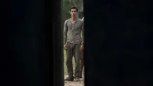 Backdrop to the movie "The Maze Runner" #551496