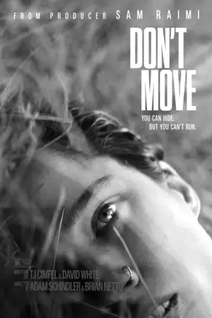 Poster to the movie "Don