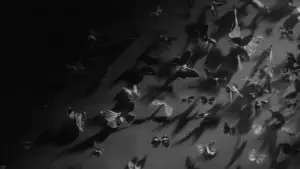 Backdrop to the movie "Branded to Kill" #763854