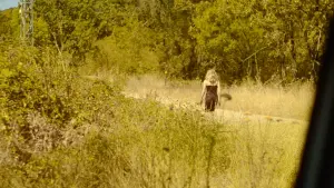 Backdrop to the movie "Lady Governess" #413658