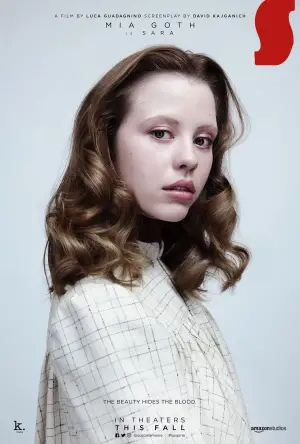 Poster to the movie "Suspiria" #671060