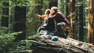 Backdrop to the movie "Swiss Army Man" #252565