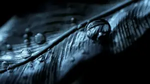 Backdrop to the movie "City of God" #606951