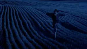 Backdrop to the movie "Days of Heaven" #716384