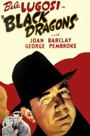 Poster to the movie "Black Dragons" #694108
