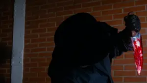 Backdrop to the movie "Pieces" #388626