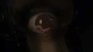 Backdrop to the movie "Wrong Turn" #610088