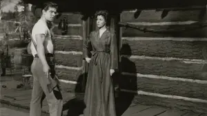 Backdrop to the movie "Woman Obsessed" #736612