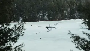 Backdrop to the movie "Radiant Frost" #543555