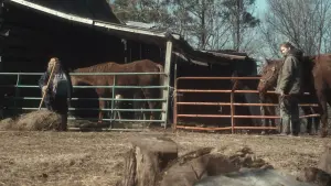 Backdrop to the movie "Winter