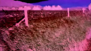 Backdrop to the movie "House of 1000 Corpses" #867749