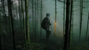 Backdrop to the movie "The Silent Forest" #373124