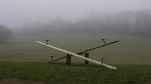 Backdrop to the movie "The Village" #728837