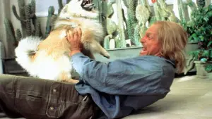 Backdrop to the movie "Scorched" #681296