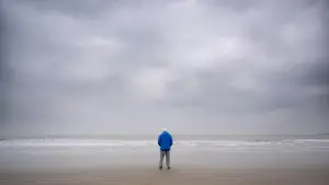 Backdrop to the movie "Ocean with David Attenborough" #617828