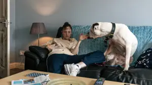 Backdrop to the movie "Dragonfly" #692815