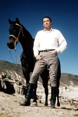 Poster to the movie "The Big Country" #203326