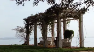 Backdrop to the movie "Practical Magic" #697219