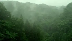 Backdrop to the movie "Little Forest: Summer/Autumn" #853903