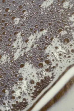 Poster to the movie "Domestic Demon" #561199