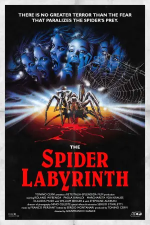 Poster to the movie "The Spider Labyrinth" #771941