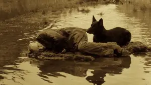 Backdrop to the movie "Stalker" #734105