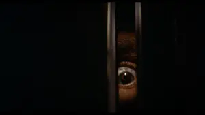 Backdrop to the movie "Black Christmas" #254141