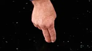 Backdrop to the movie "Reedland" #790225