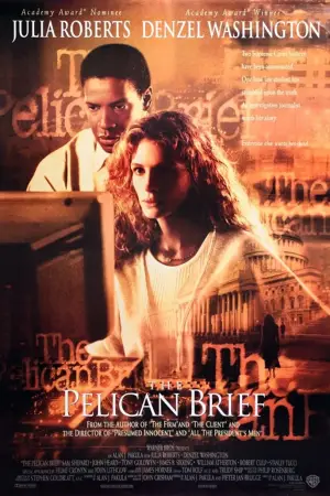 Poster to the movie "The Pelican Brief" #873186