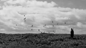 Watch film The Human Condition III: A Soldier's Prayer | The Human Condition 3: A Soldier&rsquo;s Prayer Original Trailer (Masaki Kobayashi, 1961)