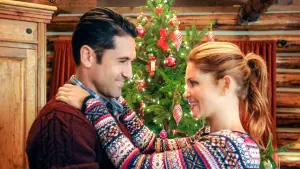 Backdrop to the movie "Christmas Under Wraps" #421984