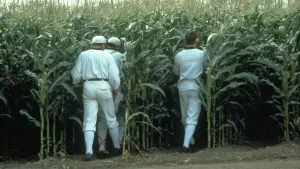 Backdrop to the movie "Field of Dreams" #719582