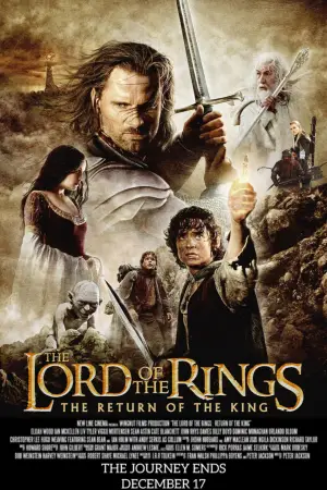 Poster to the movie "The Lord of the Rings: The Return of the King" #514988