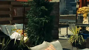 Backdrop to the movie "Synecdoche, New York" #713430