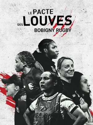 Poster to the movie "Le pacte des Louves" #844773