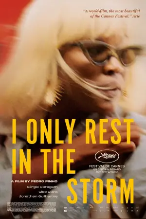 Poster to the movie "I Only Rest in the Storm" #593647