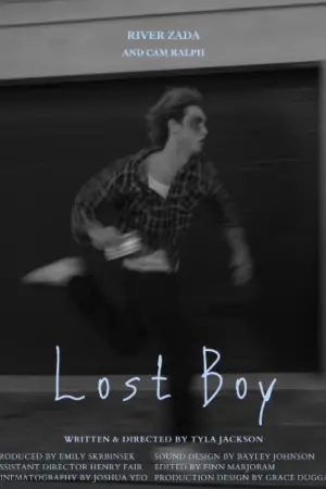 Movie poster "Lost Boy"