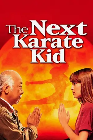 Poster to the movie "The Next Karate Kid" #872741