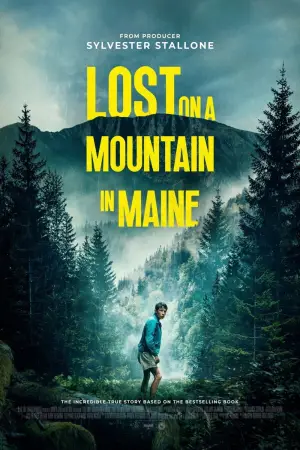 Poster to the movie "Lost on a Mountain in Maine" #786462