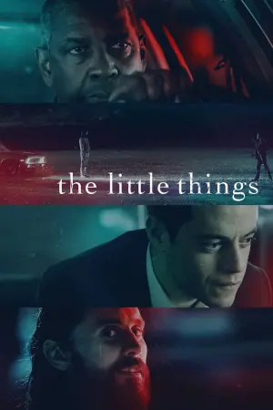 Poster to the movie "The Little Things" #51329
