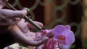 Backdrop to the movie "Secretary" #718473