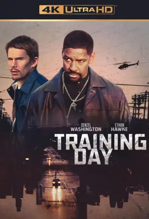 Poster to the movie "Training Day" #211530